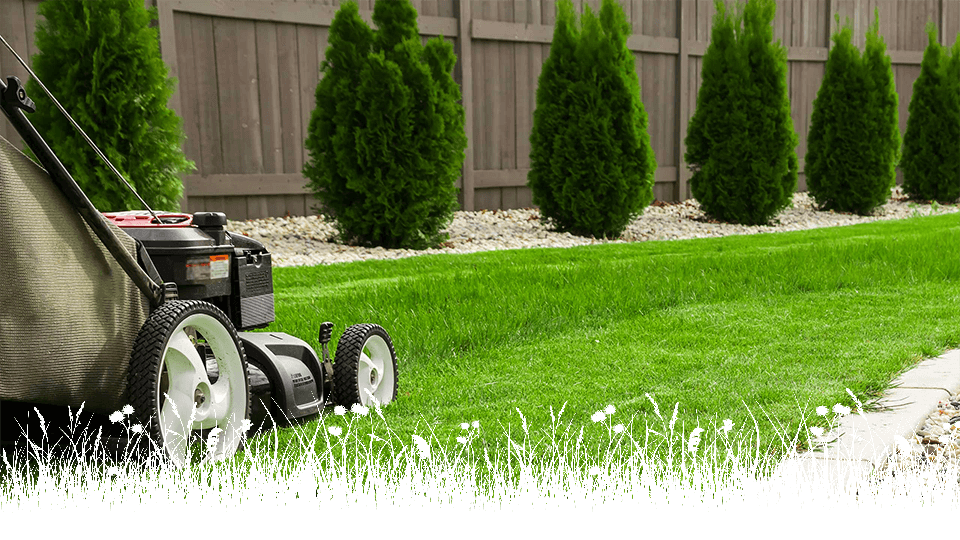 Lawn Mowing Adelaide Large and Small Lawns Premium Garden Services